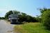 2017-06-12, 003, Assateague Island NS, MD