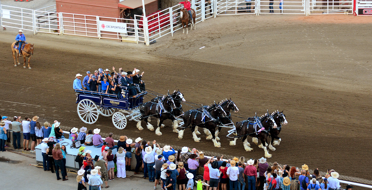 2017-07-09, 028, Calgary Stapede, AB, Chuck Wagon Rasces