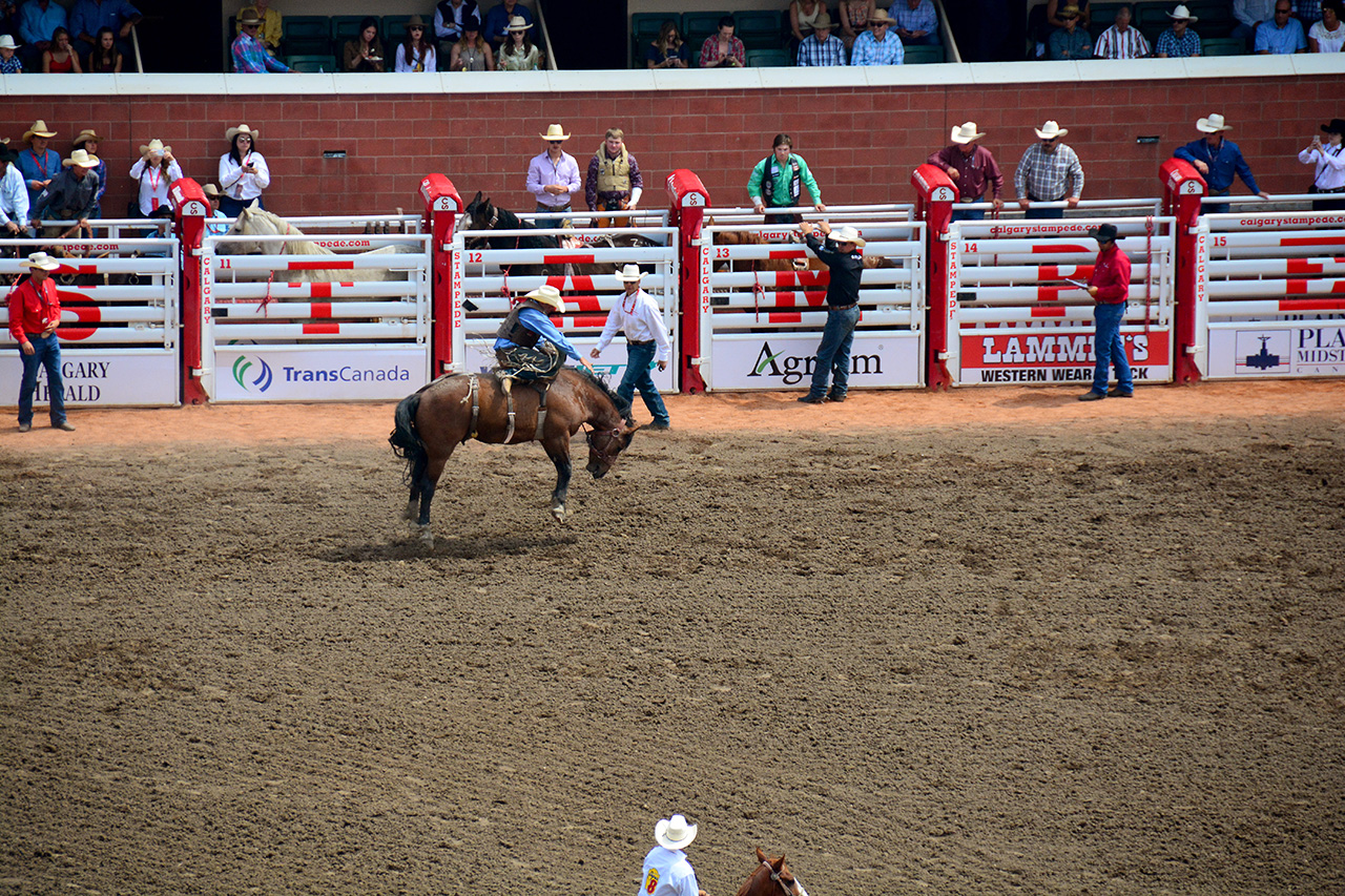 2017-07-10, 016, Calgary Stampede, AB, Saddle Bronco Riding