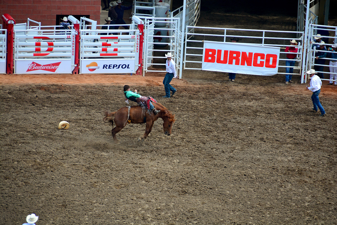 2017-07-10, 027, Calgary Stampede, AB, Saddle Bronco Riding