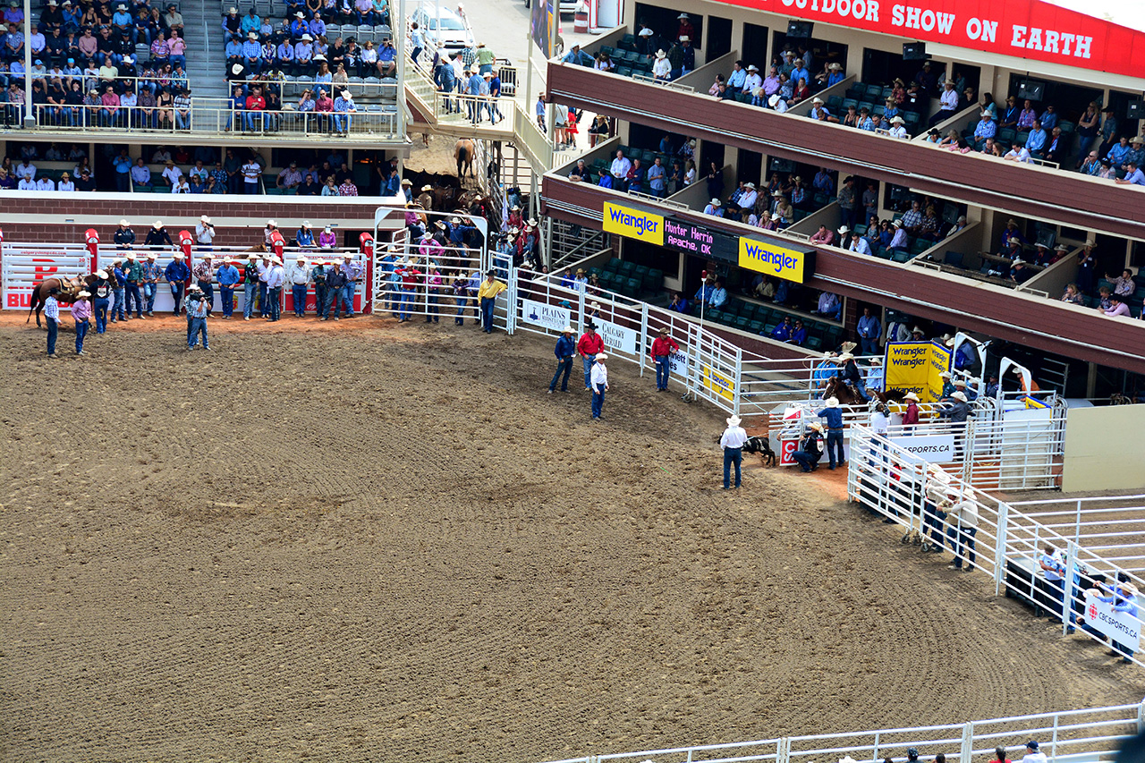 2017-07-10, 036, Calgary Stampede, AB, Tie Down Roping