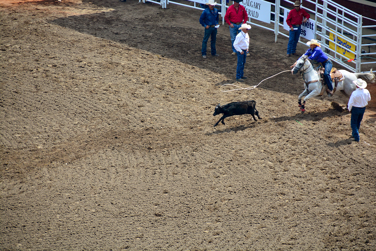 2017-07-10, 055, Calgary Stampede, AB, Tie Down Roping