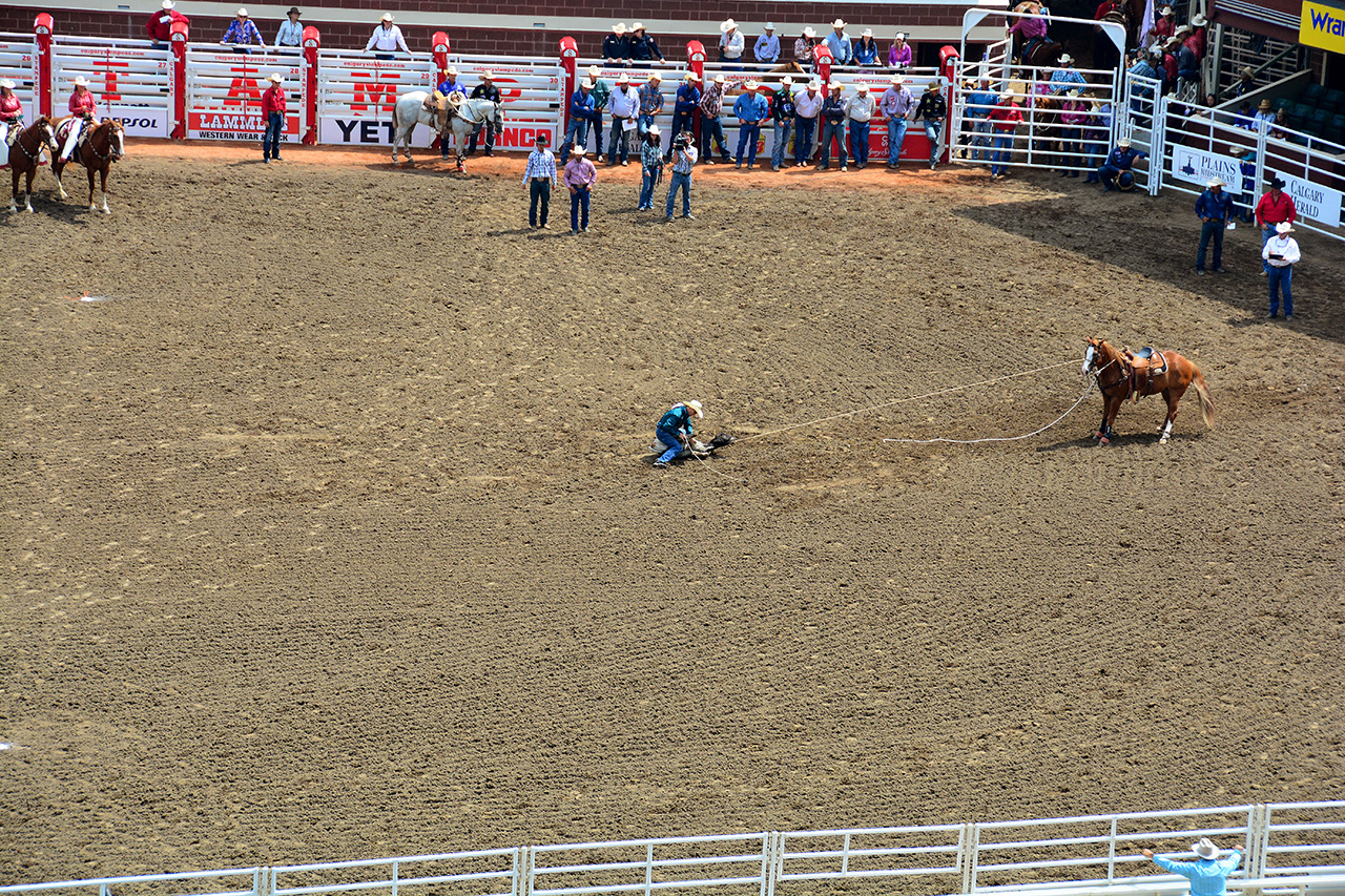 2017-07-10, 065, Calgary Stampede, AB, Tie Down Roping