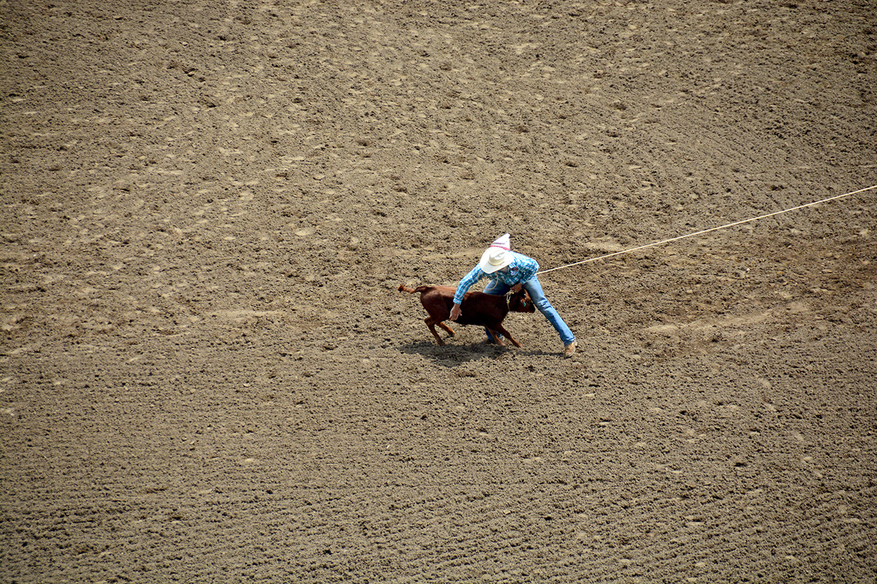 2017-07-10, 073, Calgary Stampede, AB, Tie Down Roping