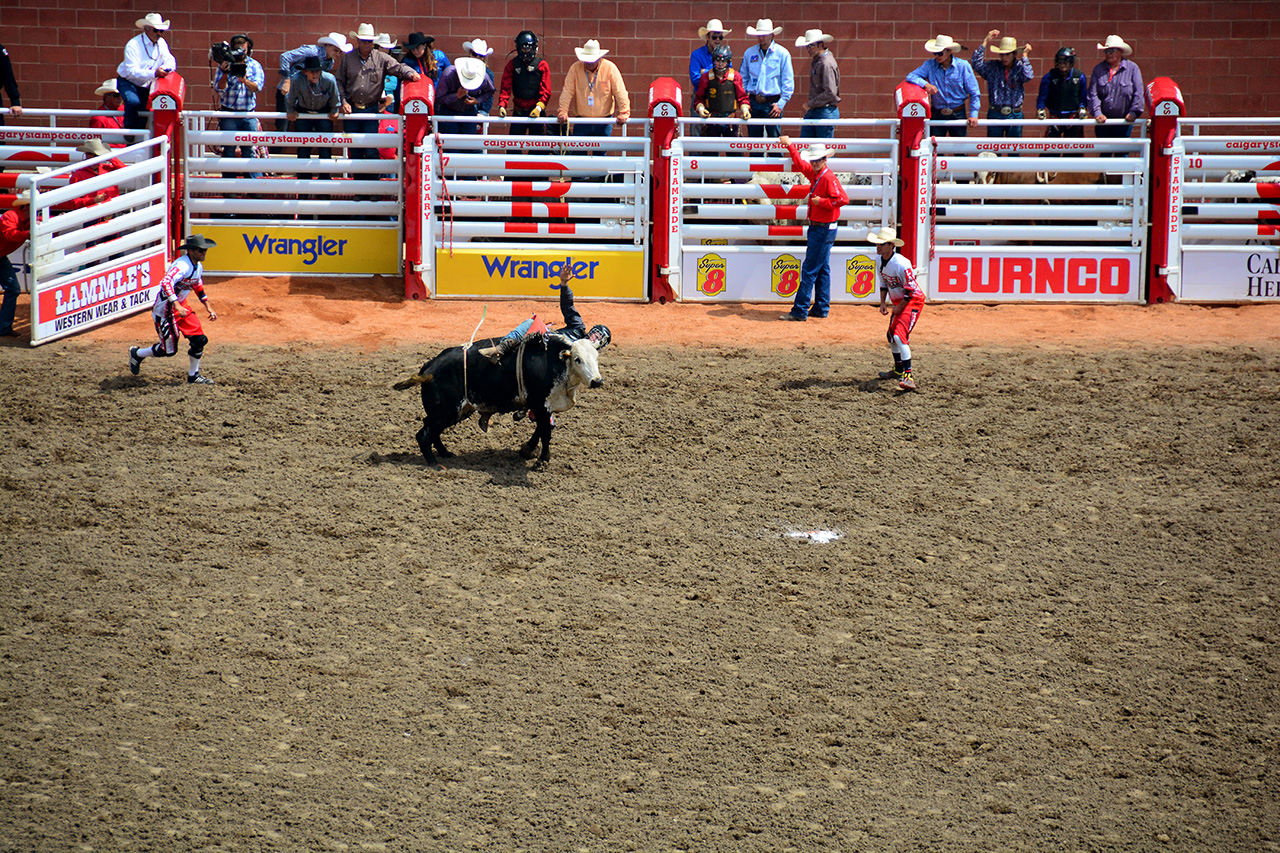 2017-07-10, 085, Calgary Stampede, AB, Steer Riding