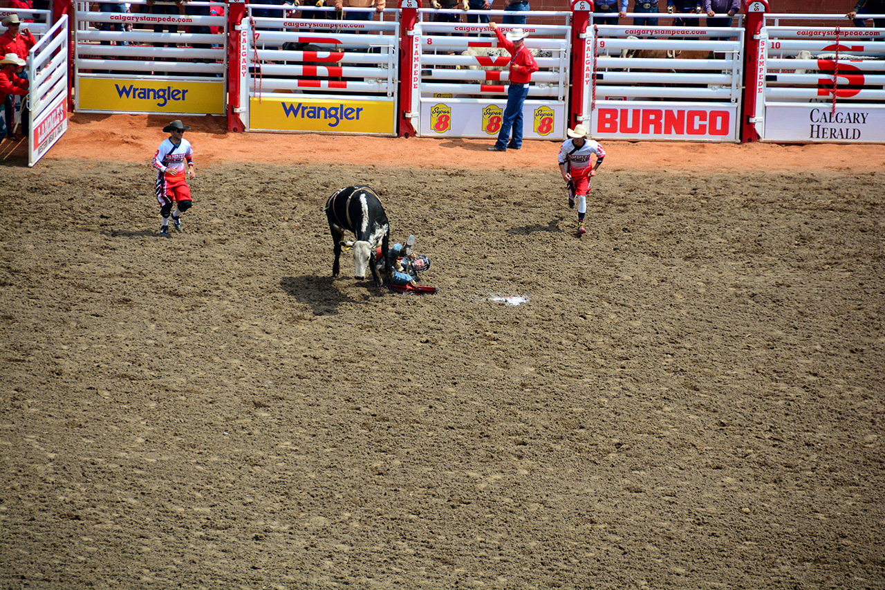 2017-07-10, 086, Calgary Stampede, AB, Steer Riding