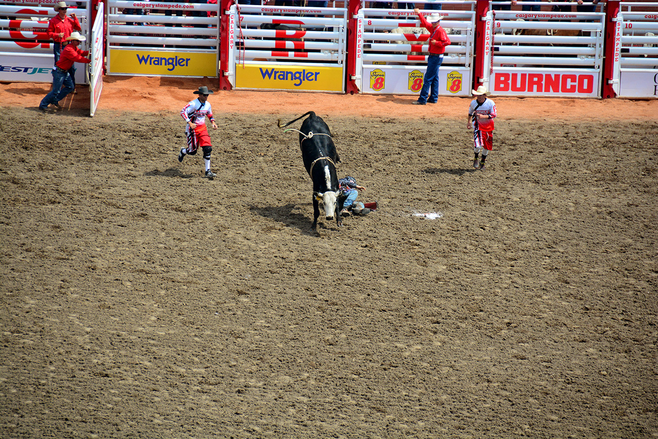 2017-07-10, 087, Calgary Stampede, AB, Steer Riding