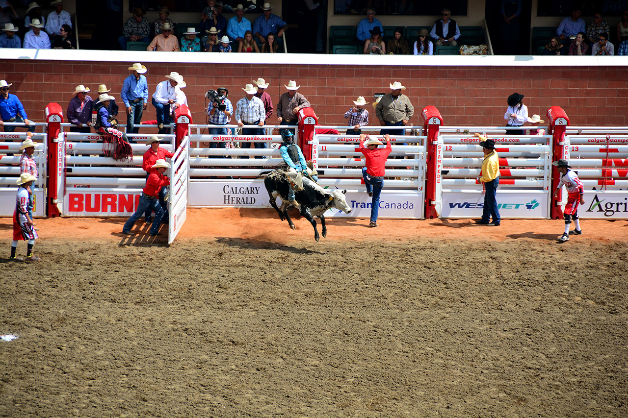 2017-07-10, 107, Calgary Stampede, AB, Steer Riding