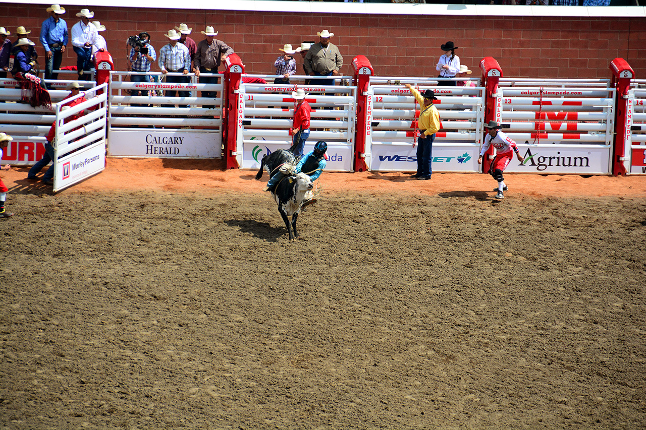 2017-07-10, 108, Calgary Stampede, AB, Steer Riding