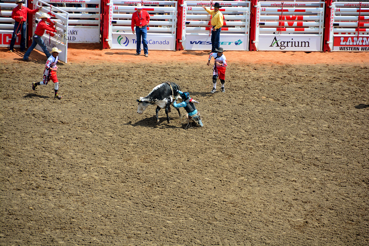 2017-07-10, 109, Calgary Stampede, AB, Steer Riding