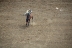 2017-07-10, 025, Calgary Stampede, AB, Saddle Bronco Riding