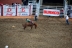 2017-07-10, 027, Calgary Stampede, AB, Saddle Bronco Riding