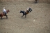 2017-07-10, 030, Calgary Stampede, AB, Saddle Bronco Riding