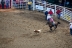 2017-07-10, 043, Calgary Stampede, AB, Tie Down Roping