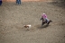 2017-07-10, 045, Calgary Stampede, AB, Tie Down Roping