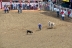 2017-07-10, 057, Calgary Stampede, AB, Tie Down Roping