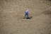 2017-07-10, 060, Calgary Stampede, AB, Tie Down Roping