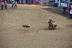 2017-07-10, 062, Calgary Stampede, AB, Tie Down Roping