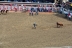 2017-07-10, 064, Calgary Stampede, AB, Tie Down Roping