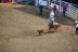 2017-07-10, 068, Calgary Stampede, AB, Tie Down Roping