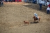 2017-07-10, 069, Calgary Stampede, AB, Tie Down Roping