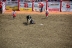 2017-07-10, 086, Calgary Stampede, AB, Steer Riding