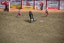 2017-07-10, 087, Calgary Stampede, AB, Steer Riding