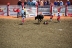 2017-07-10, 092, Calgary Stampede, AB, Steer Riding