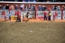 2017-07-10, 093, Calgary Stampede, AB, Steer Riding