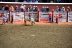 2017-07-10, 094, Calgary Stampede, AB, Steer Riding