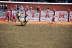 2017-07-10, 095, Calgary Stampede, AB, Steer Riding