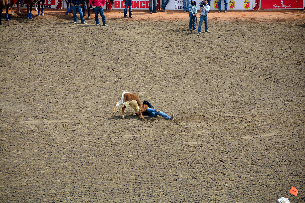 2017-07-10, 117, Calgary Stampede, AB, Steer Wrestling