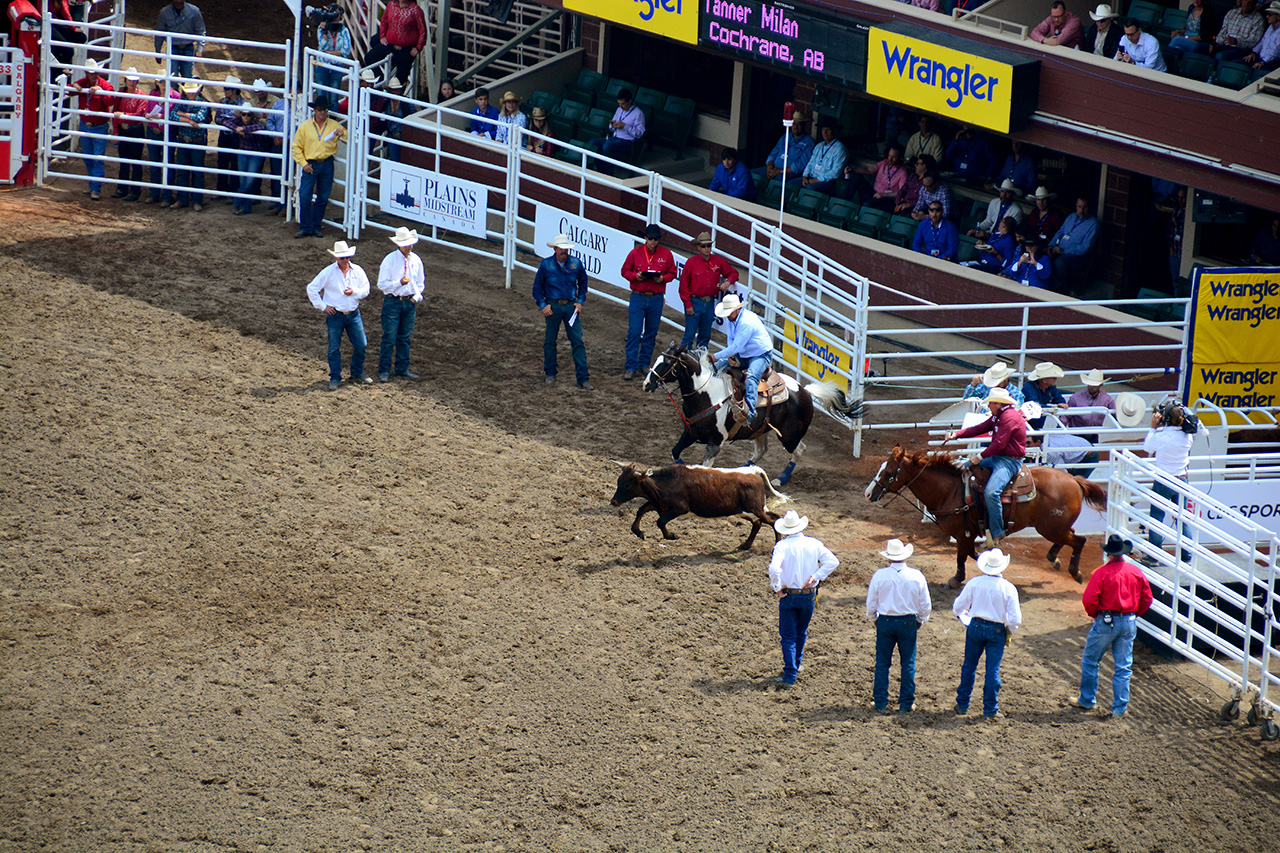 2017-07-10, 120, Calgary Stampede, AB, Steer Wrestling