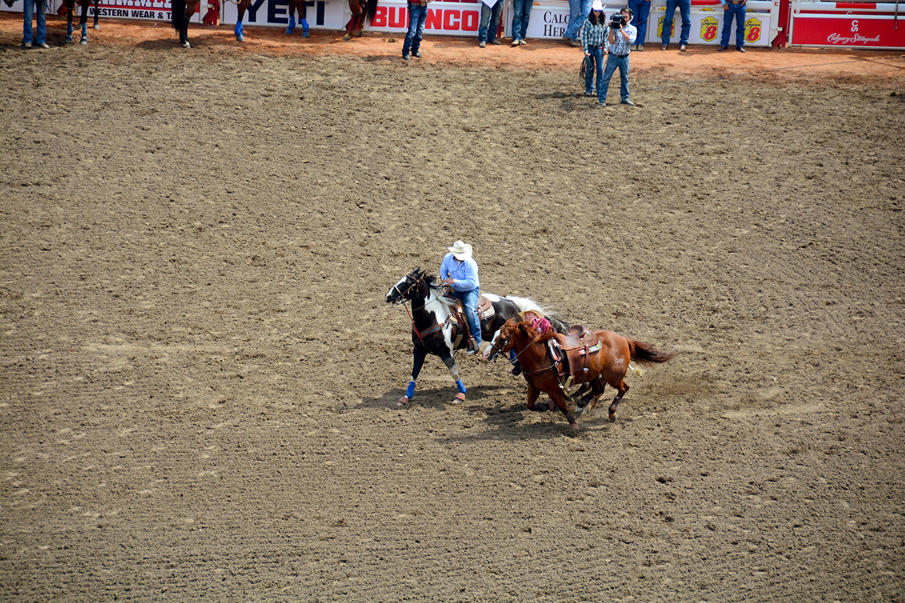 2017-07-10, 122, Calgary Stampede, AB, Steer Wrestling