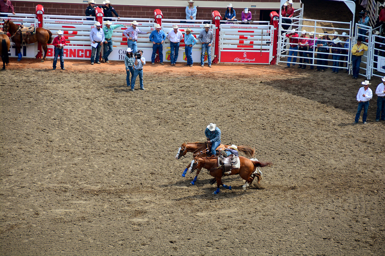 2017-07-10, 127, Calgary Stampede, AB, Steer Wrestling