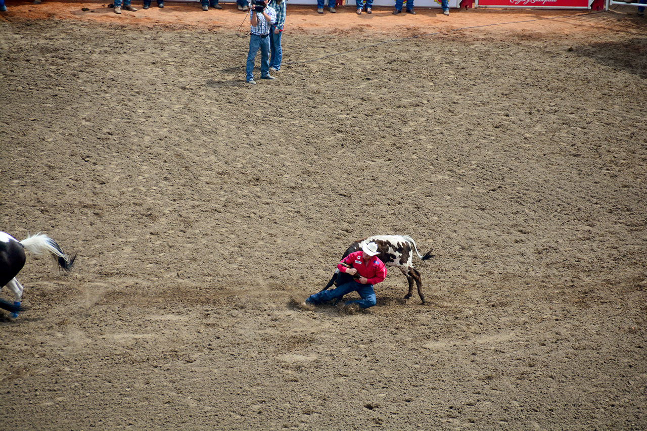 2017-07-10, 139, Calgary Stampede, AB, Steer Wrestling