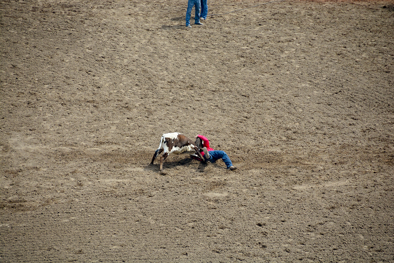 2017-07-10, 140, Calgary Stampede, AB, Steer Wrestling