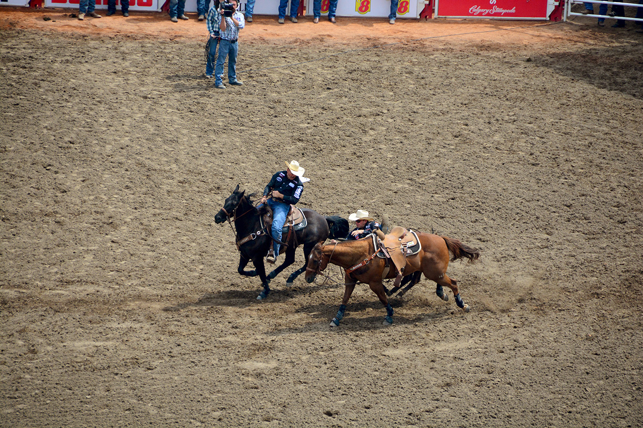 2017-07-10, 143, Calgary Stampede, AB, Steer Wrestling