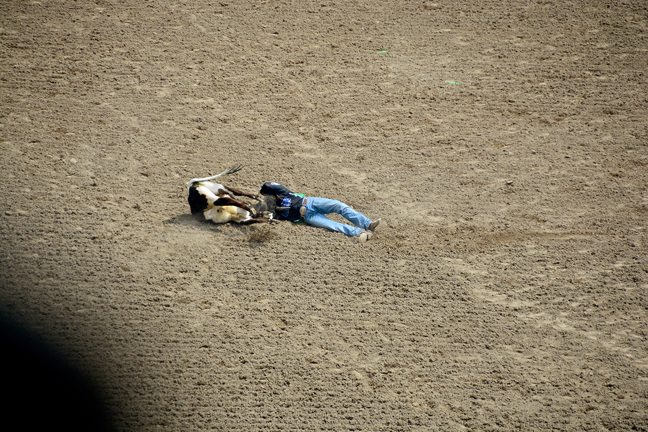 2017-07-10, 150, Calgary Stampede, AB, Steer Wrestling