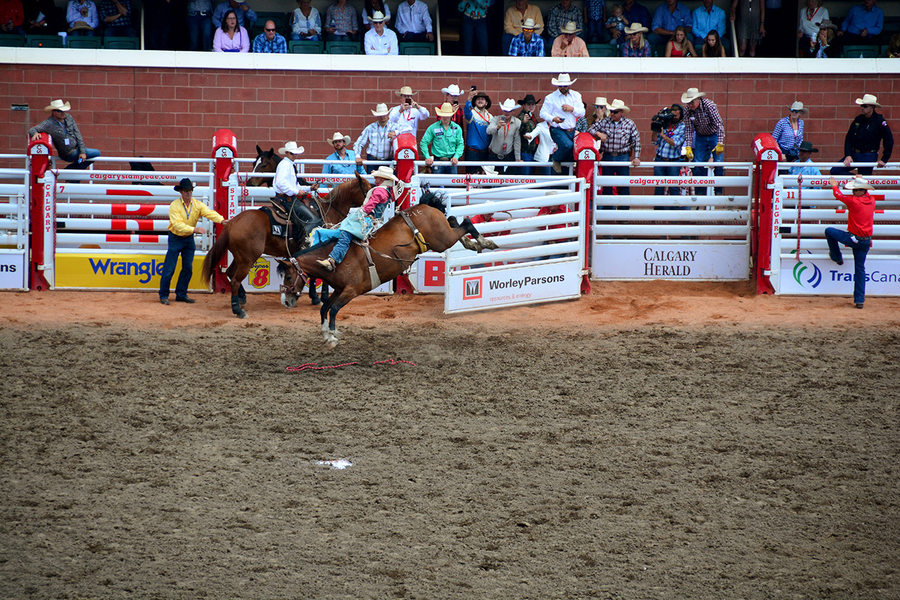 2017-07-10, 164, Calgary Stampede, AB, Bareback Bronco Riding