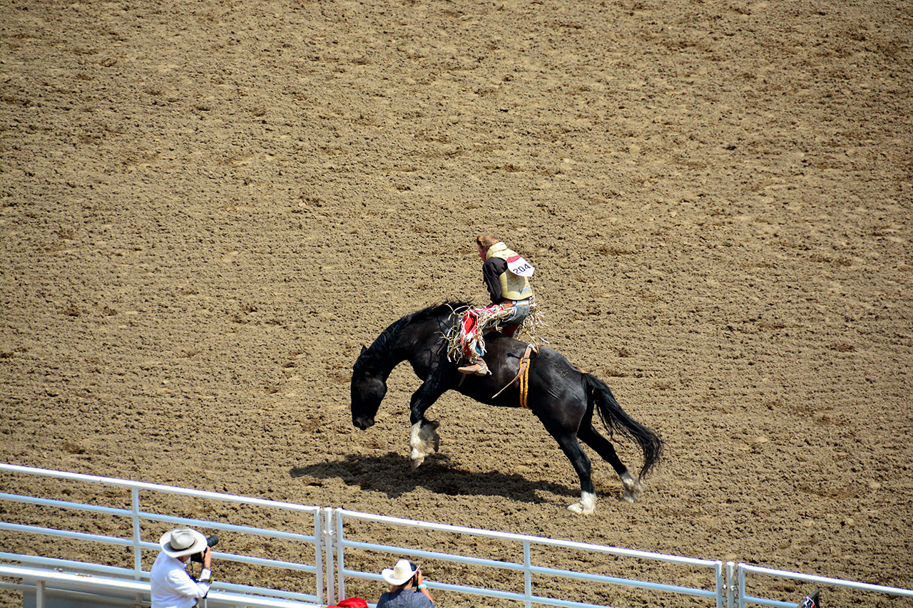 2017-07-10, 180, Calgary Stampede, AB, Bareback Bronco Riding