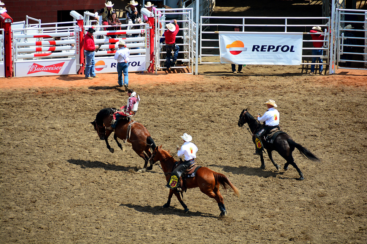 2017-07-10, 198, Calgary Stampede, AB, Bareback Bronco Riding