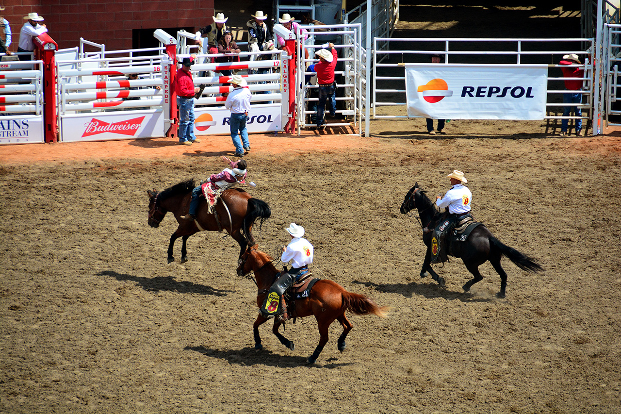 2017-07-10, 199, Calgary Stampede, AB, Bareback Bronco Riding