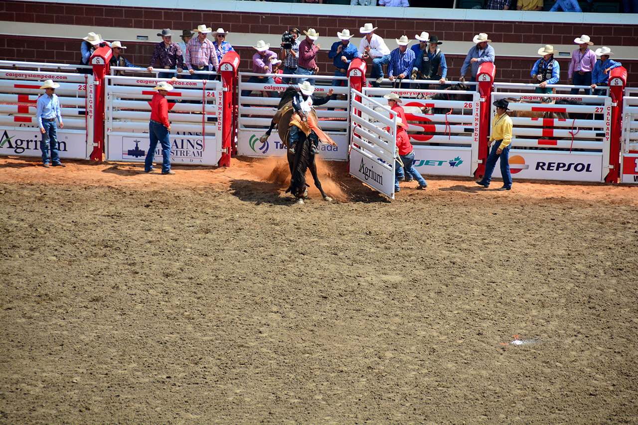 2017-07-10, 200, Calgary Stampede, AB, Bareback Bronco Riding