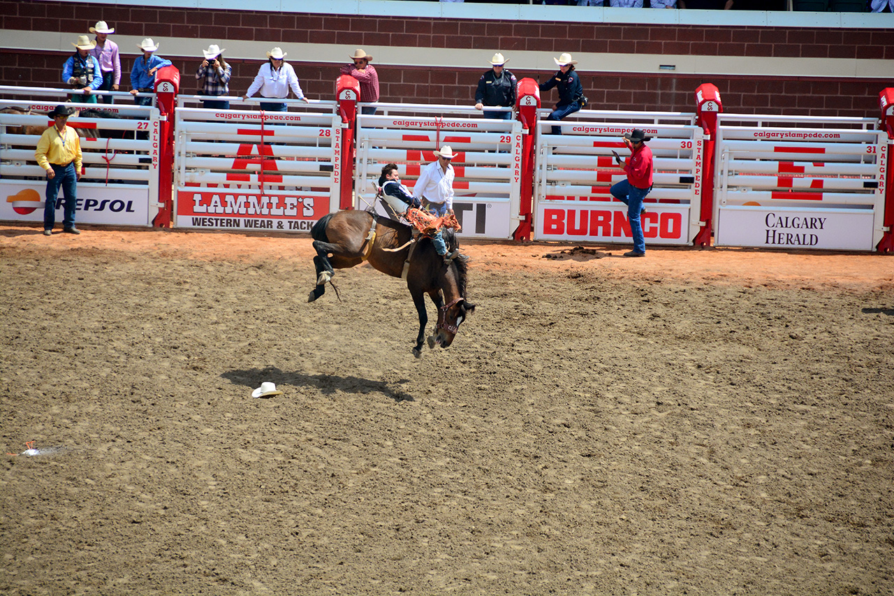 2017-07-10, 207, Calgary Stampede, AB, Bareback Bronco Riding