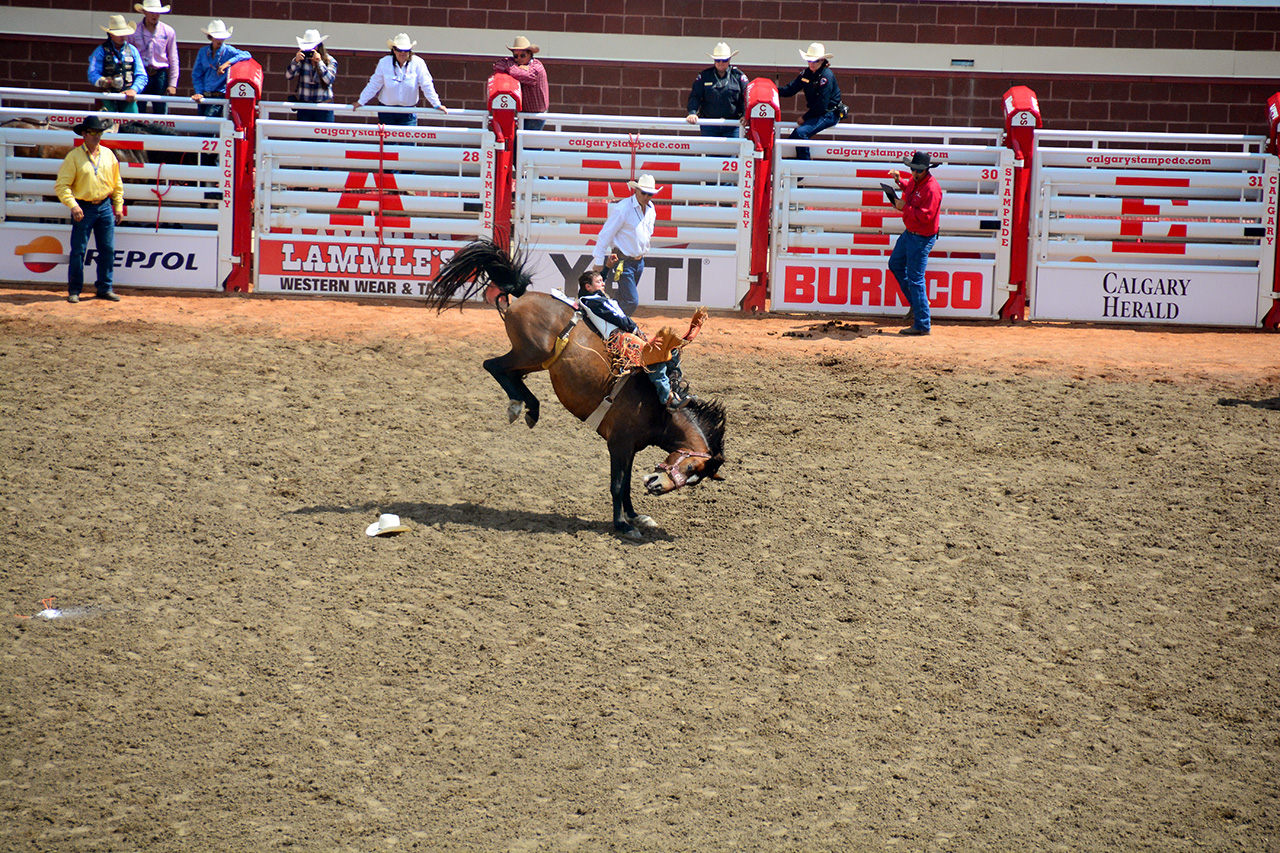 2017-07-10, 208, Calgary Stampede, AB, Bareback Bronco Riding