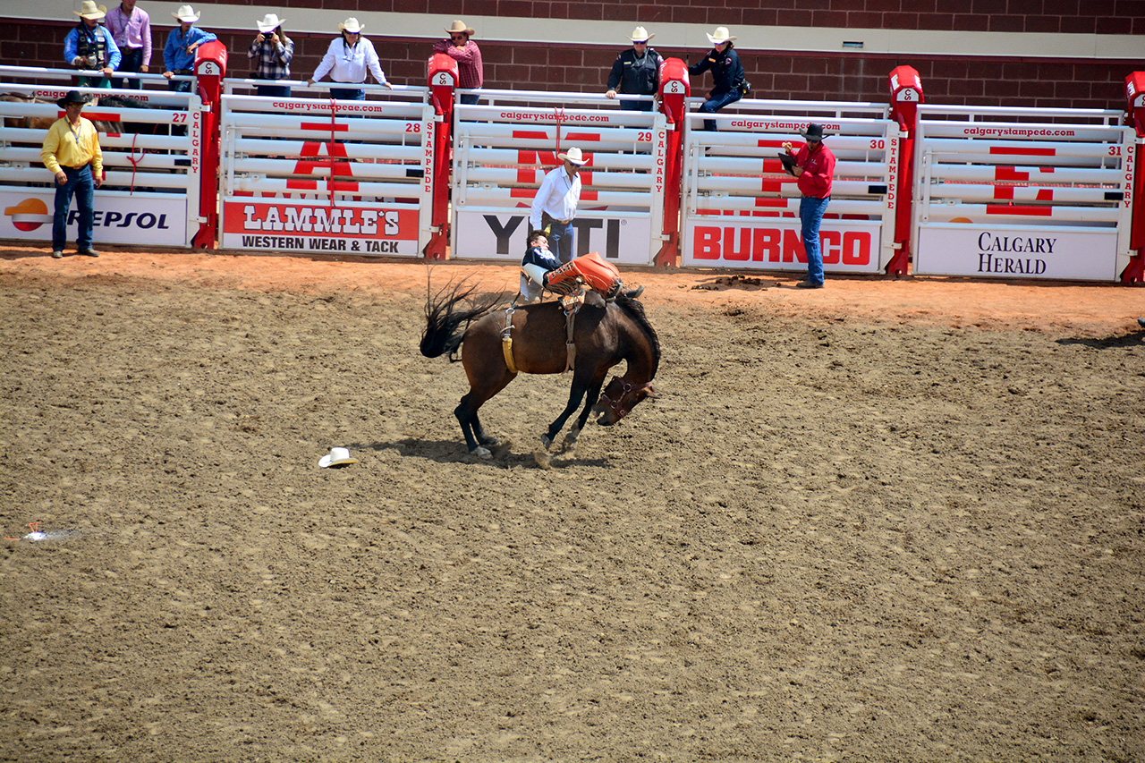 2017-07-10, 209, Calgary Stampede, AB, Bareback Bronco Riding