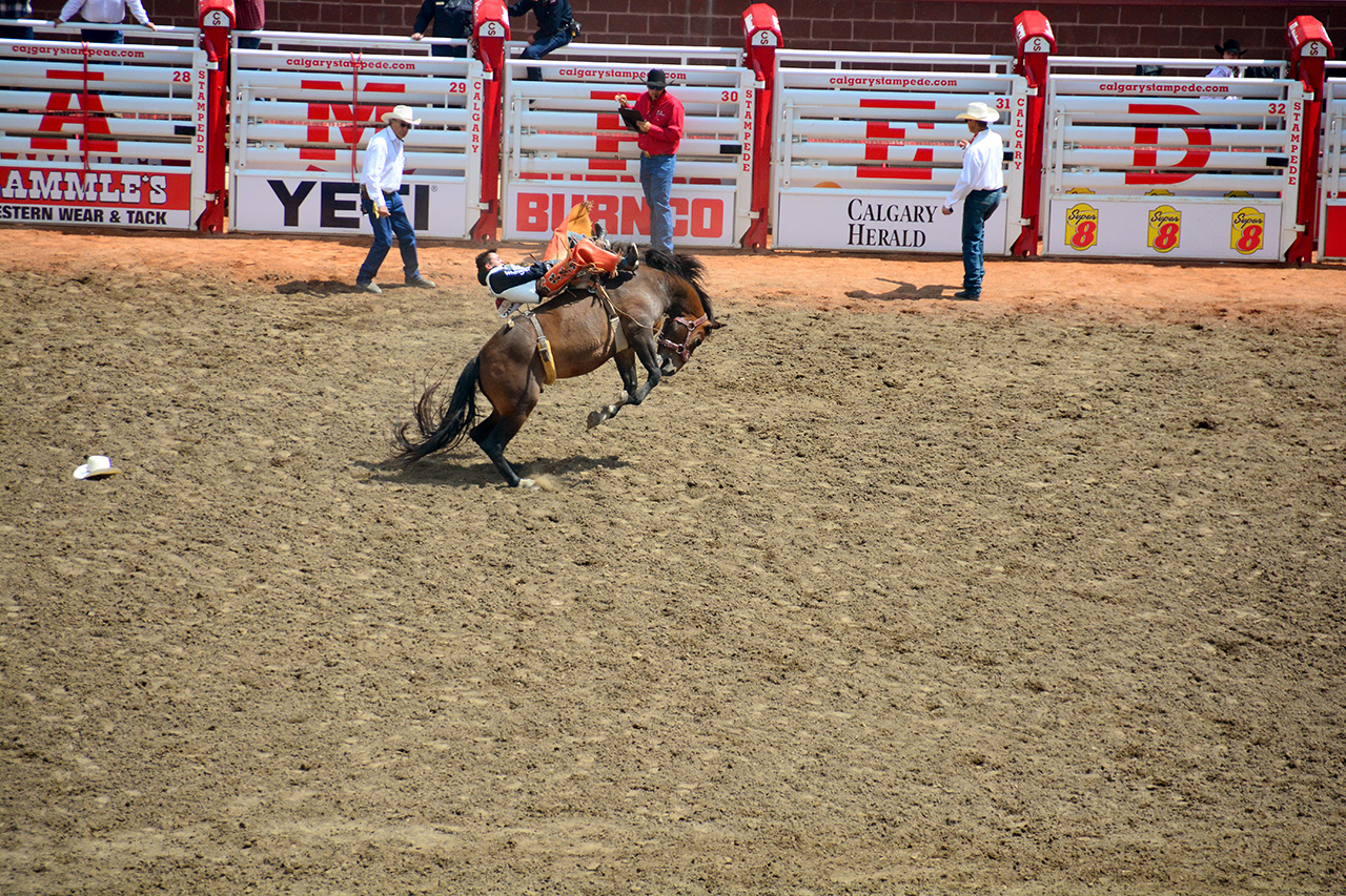 2017-07-10, 210, Calgary Stampede, AB, Bareback Bronco Riding