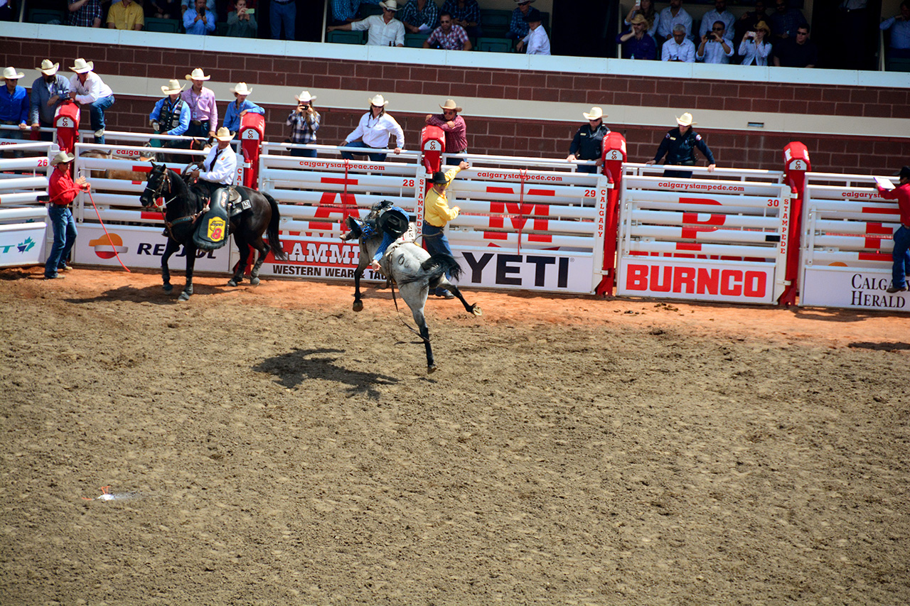 2017-07-10, 219, Calgary Stampede, AB, Bareback Bronco Riding