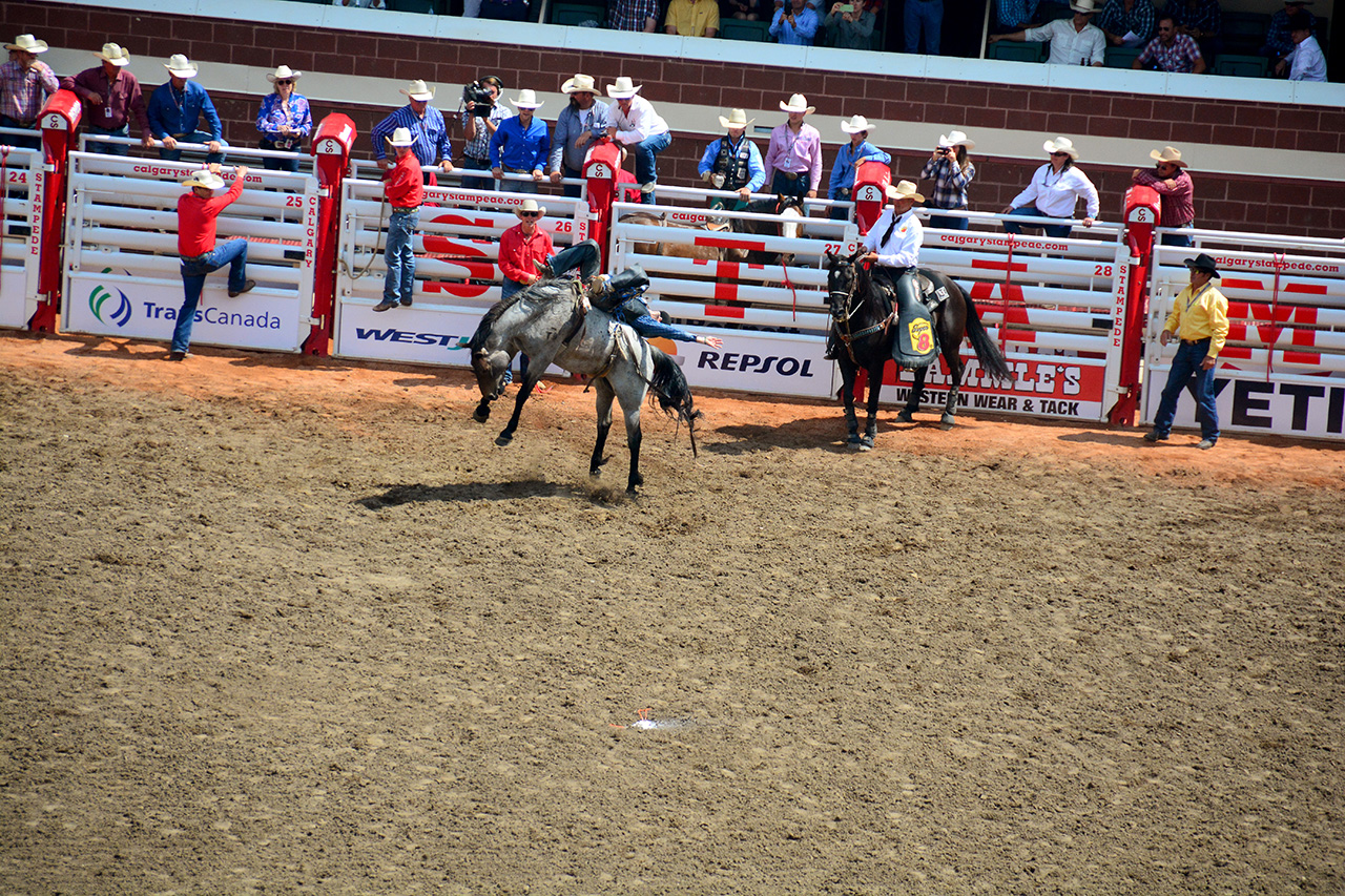 2017-07-10, 224, Calgary Stampede, AB, Bareback Bronco Riding